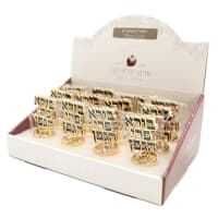 תמונה 2