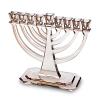תמונה 1