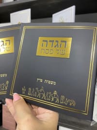 תמונה 1