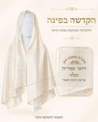תמונה 3