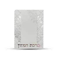 תמונה 1