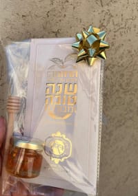 תמונה 1