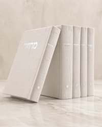 תמונה 3