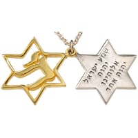 תמונה 1