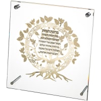 תמונה 2