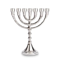 תמונה 1