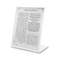 תמונה 1