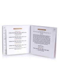 תמונה 3
