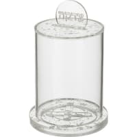 תמונה 2