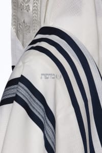 תמונה 3