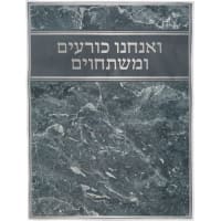 תמונה 2