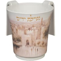 תמונה 2