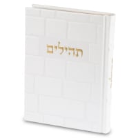 תמונה 2
