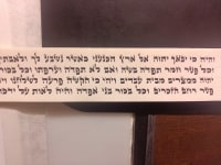 תמונה 3