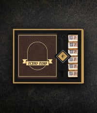 תמונה 1