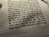 תמונה 3