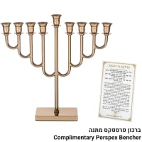 תמונה 1