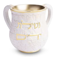 תמונה 2