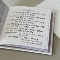 תמונה 2