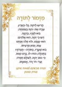 תמונה 1