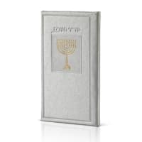 תמונה 1
