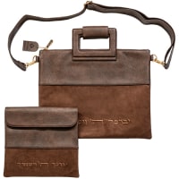 תמונה 1