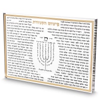 תמונה 2