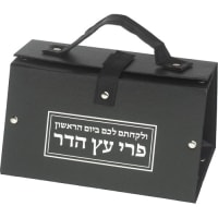 תמונה 2