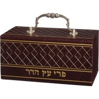 תמונה 2