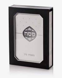 תמונה 2