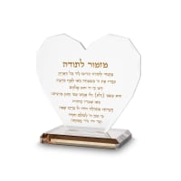 תמונה 1