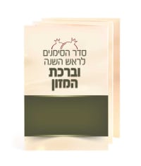 תמונה 1