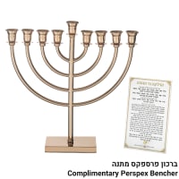 תמונה 1