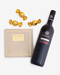 תמונה 2