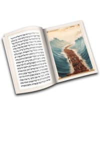 תמונה 1