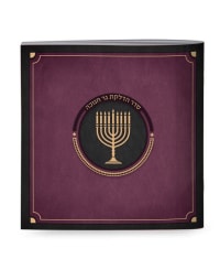 תמונה 2