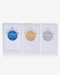תמונה 2
