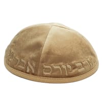תמונה 1