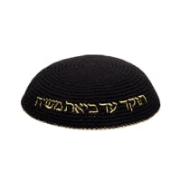 תמונה 1