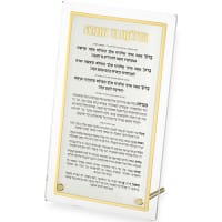 תמונה 2