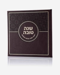 תמונה 1