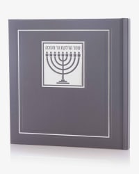 תמונה 2