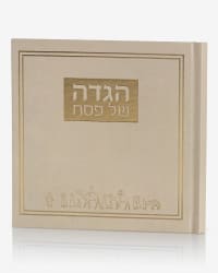 תמונה 1