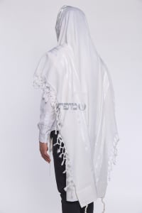 תמונה 1