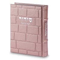 תמונה 1