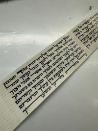 תמונה 3