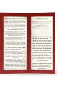 תמונה 3