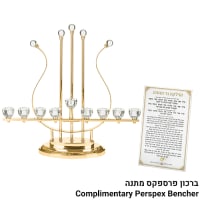 תמונה 2