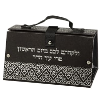 תמונה 2