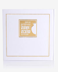 תמונה 3